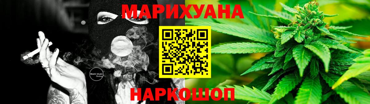 Каннабис сатива Тихвин
